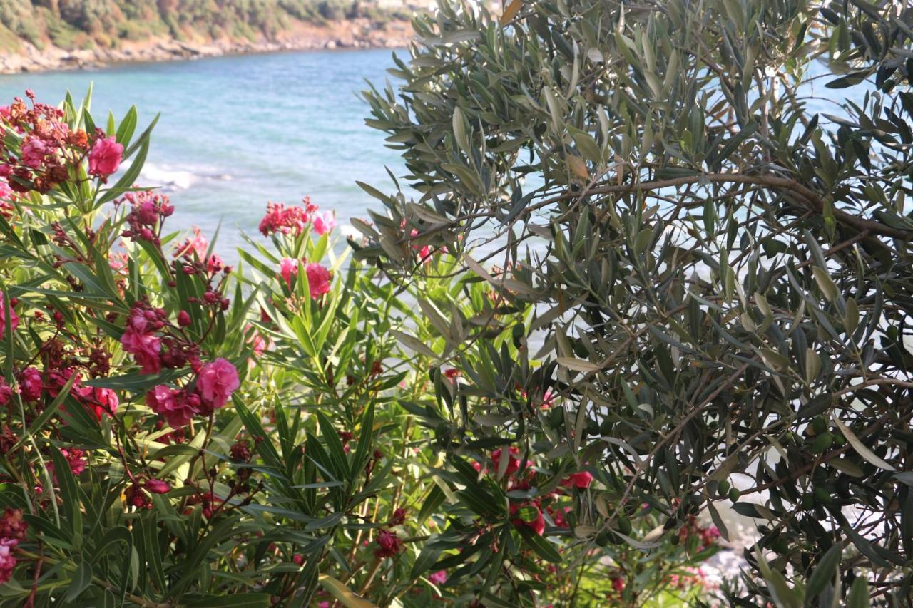 Urga Butik Otel & Restaurant Güllük Dış mekan fotoğraf