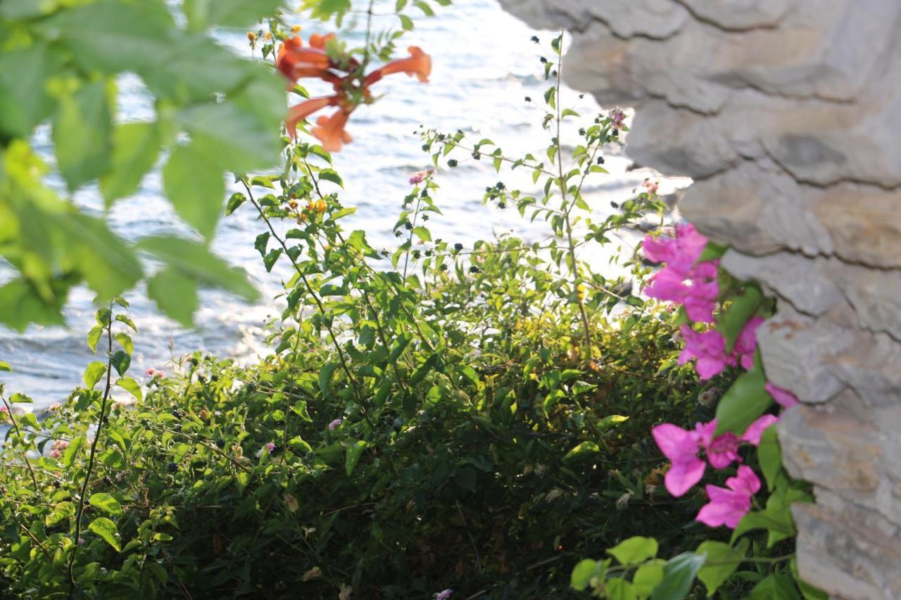 Urga Butik Otel & Restaurant Güllük Dış mekan fotoğraf