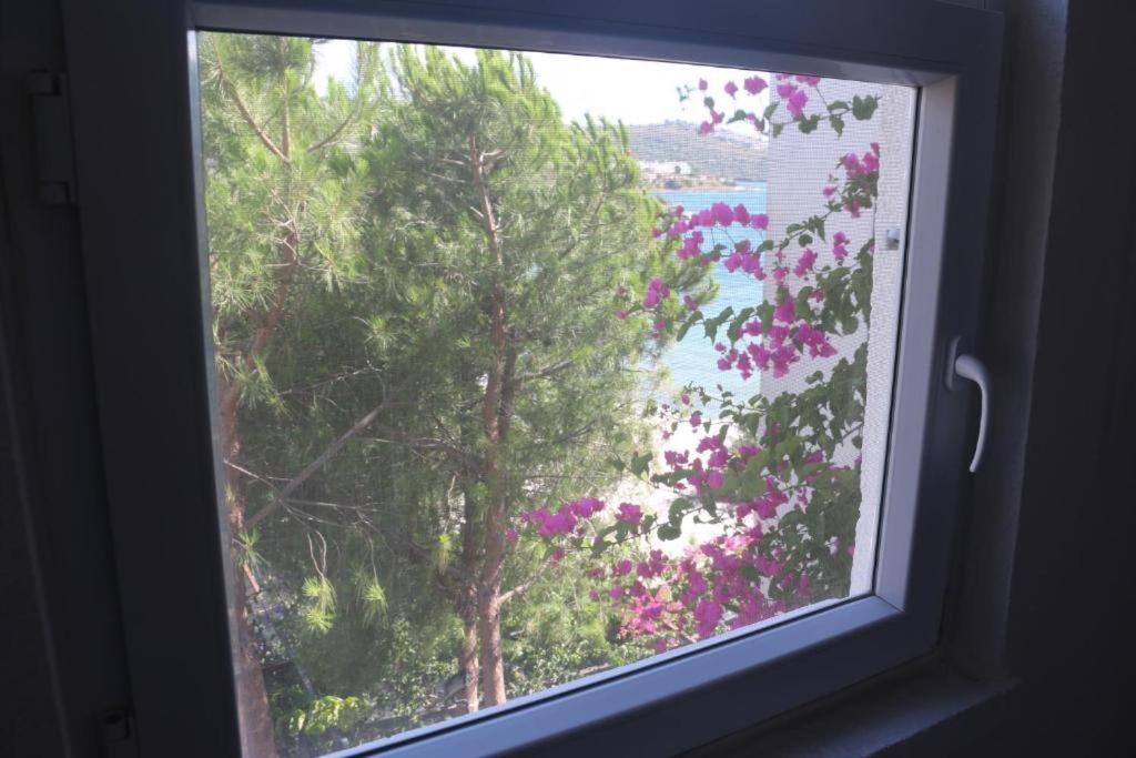 Urga Butik Otel & Restaurant Güllük Dış mekan fotoğraf